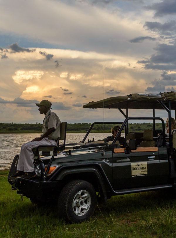 ibaba-travel-tour-rwanda-game-drive